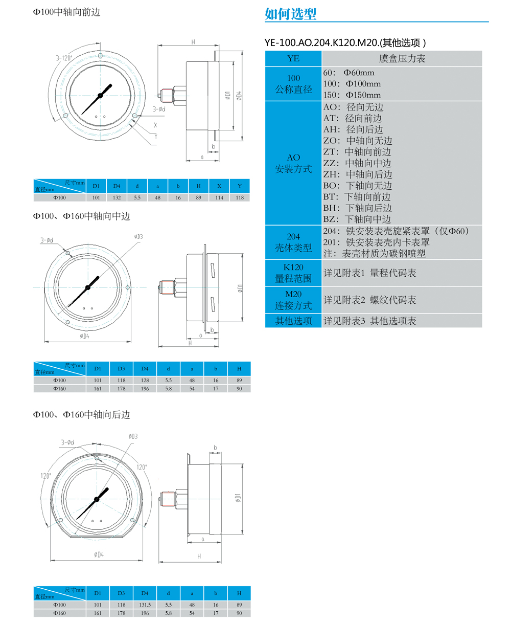 膜盒壓力表YE-03.jpg