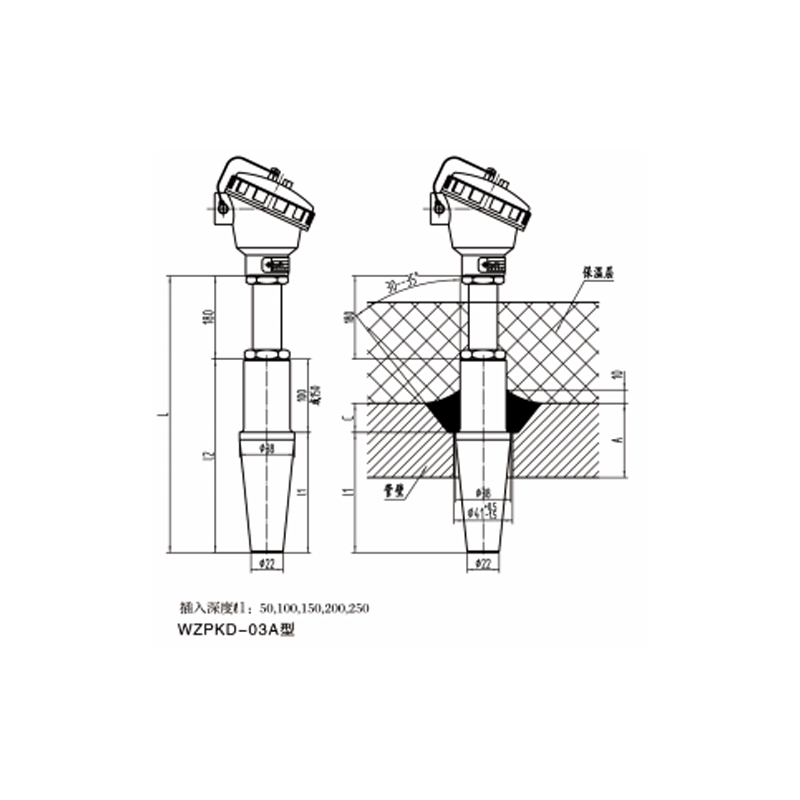 68. WZPKD系列電站用鎧裝熱電阻-高壓